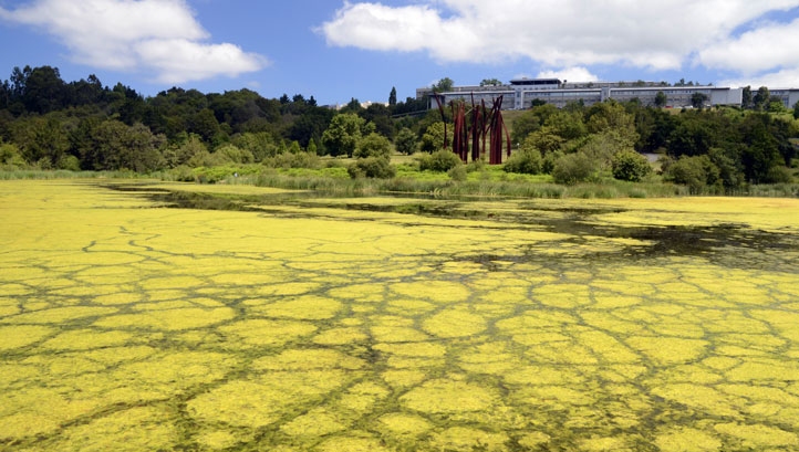 Estimates suggest that financing this market will reach $854bn annually by 2030 to halt natural degradation